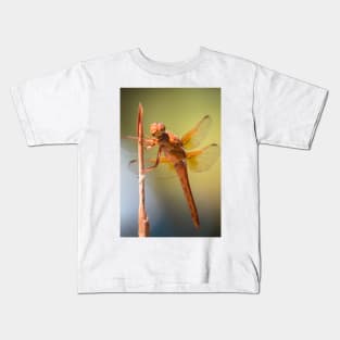 Fly, Fly Dragon Kids T-Shirt